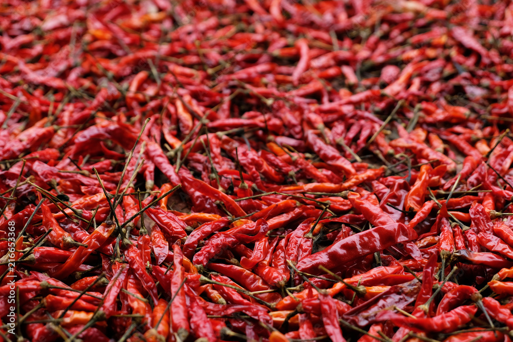 Fototapeta premium close up many dried chilli