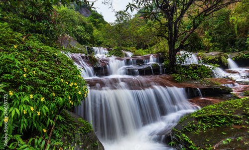 Tad-Wiman-Thip waterfall  Beautiful waterfall in Bung-Kan province  ThaiLand.