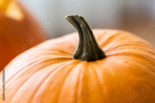 vegetables, harvest and halloween concept - close up of pumpkin with stem photo