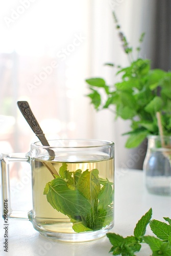 Fresh peppermint tea in glass cup on white table opposite the window.