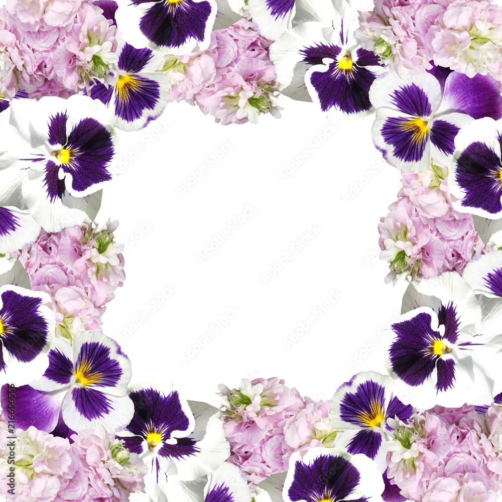 Beautiful floral background from pelargonium and pansies Beautiful floral background from pelargonium and pansies