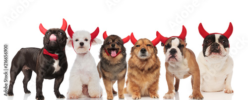 six cute dogs wearing devil horns for halloween