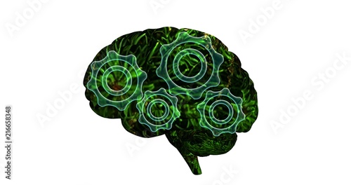 Brain with green plant texture and transparent gearl mechanism  photo