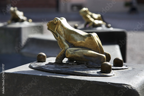 Frog at Raftsman Fountain (Pomnik flisaka) in Torun.  Poland photo