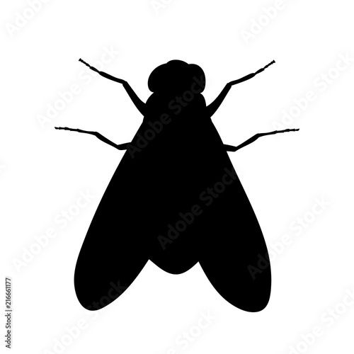 silhouette of an insect fly
