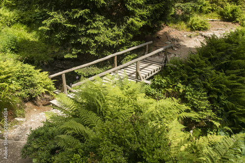 Wooden footbridge on a trail in landscape in nature.