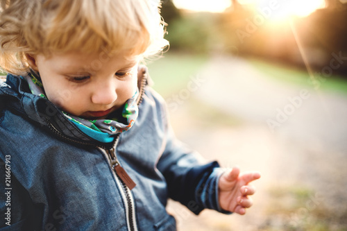 A little toddler boy standing outdoors in nature at sunset. Close-up.