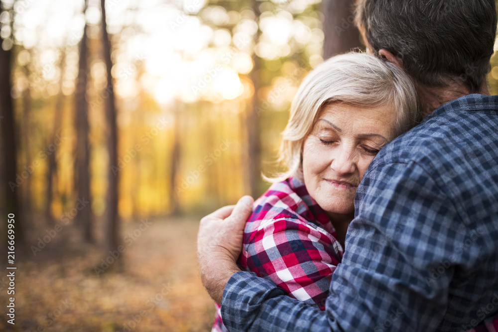 Senior couple on a walk in an autumn forest. Senior couple on a walk in an autumn forest.