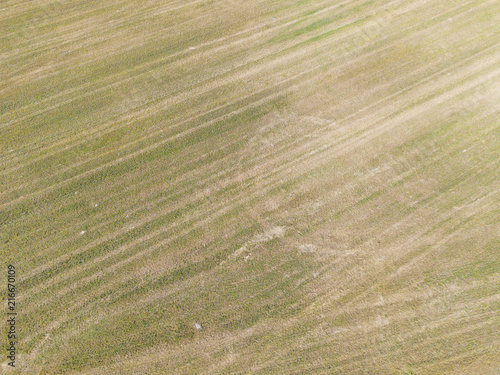 Aerial view of the field with shadows from the clouds 