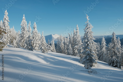Winter landscape of a mountain forest. Clear blue sky over the forest. Mountain range at the background. © ianachyrva