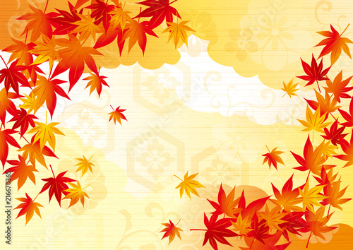 日本 華やか 金 秋柄