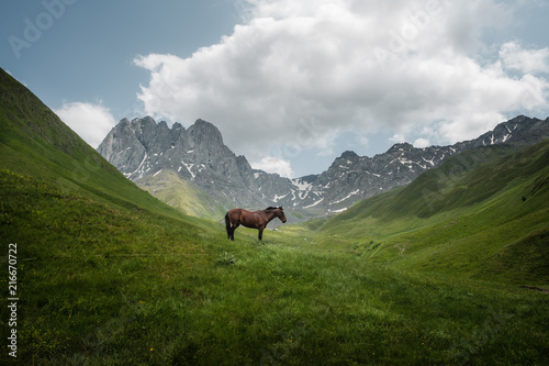 Horse grazing in a mountain valley with the Chaukhi mountain range in Georgia. photo