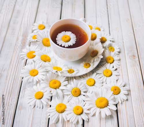 Cup of beauty chamomile tea with fresh daisies. White fresh flowers on a light gray vintage wooden background. Concept, top view.
