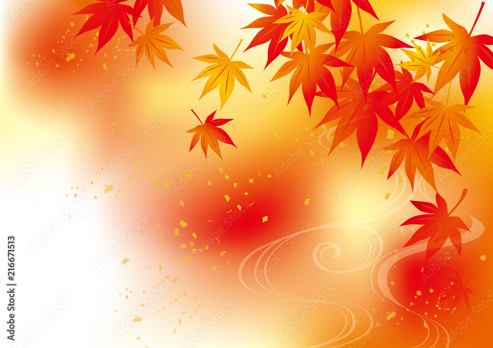 紅葉 綺麗 赤 紅葉 綺麗 赤