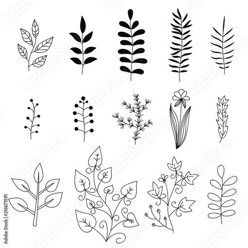 Floral elements set. Tree branches. Set of hand drawn doodle flowers. Vector illustration.