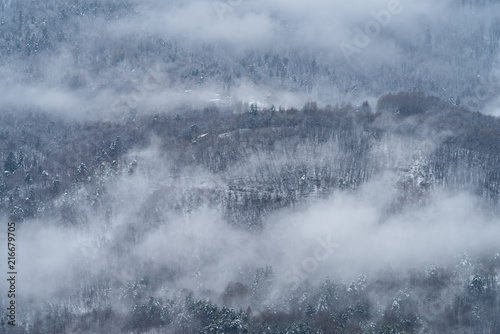 Fog revealing the mountain range © Dmytro Surkov