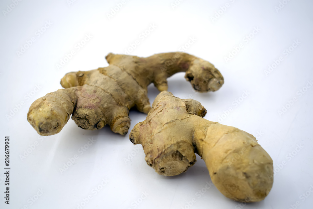 Ginger root / studio shot of fresh and raw Zingiber isolated on white background Ginger root / studio shot of fresh and raw Zingiber isolated on white background