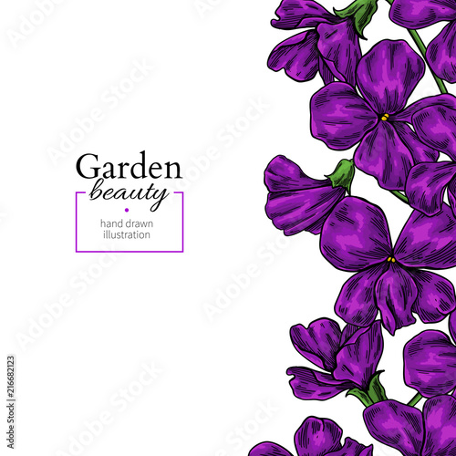 Violet flower drawing. Vector hand drawn floral frame. Viola border sketch.
