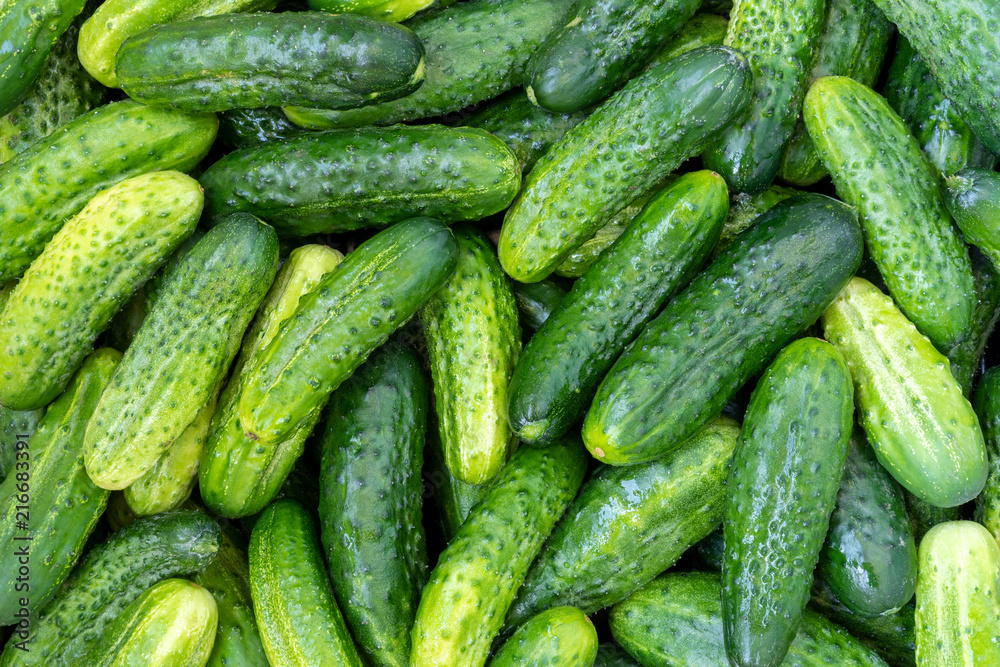Green cucumber background, top view Green cucumber background, top view