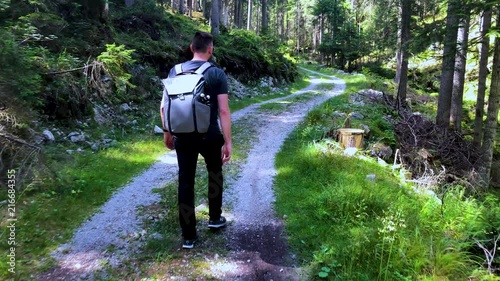 4K footage hiking through the woods in summer