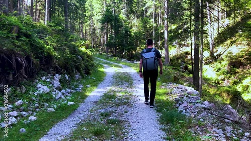 4K footage hiking through the woods in summer