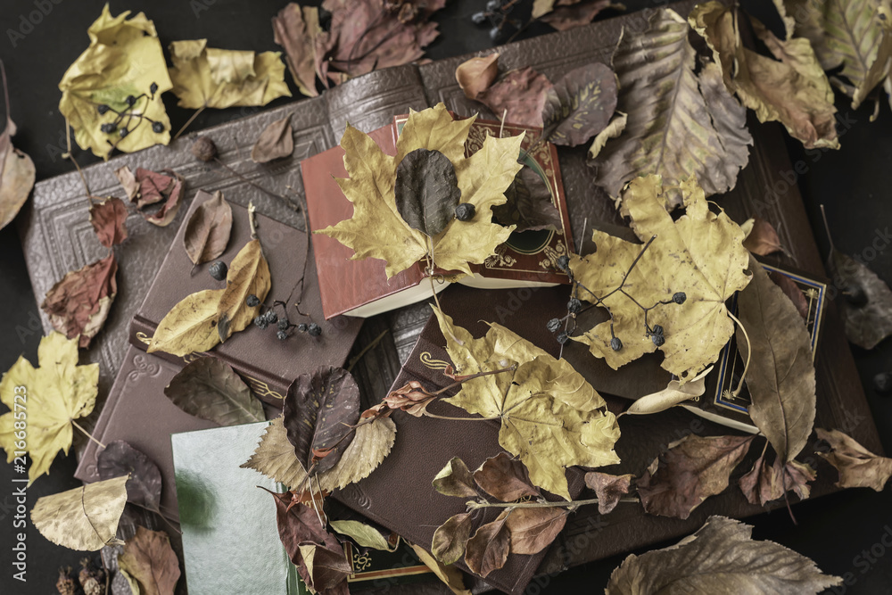 Several of different books under dry leaves of different trees, top view, vintage background. Concept of reading, back to school, education, autumn