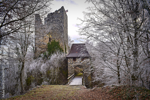 Ruine Haichenbach in Oberösterreich
