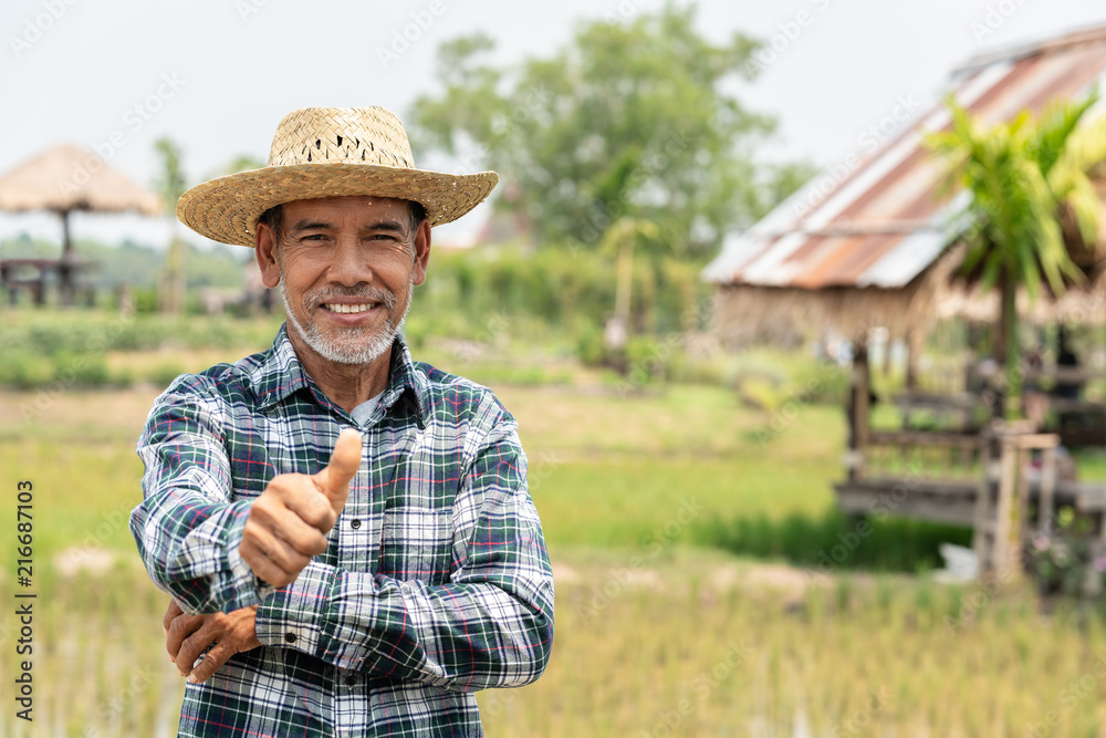 Portrait happy mature older man is smiling. Old senior farmer with white beard thumb up feeling confident. Elderly asian man standing in a shirt and looking at camera at rice field in sunny day.