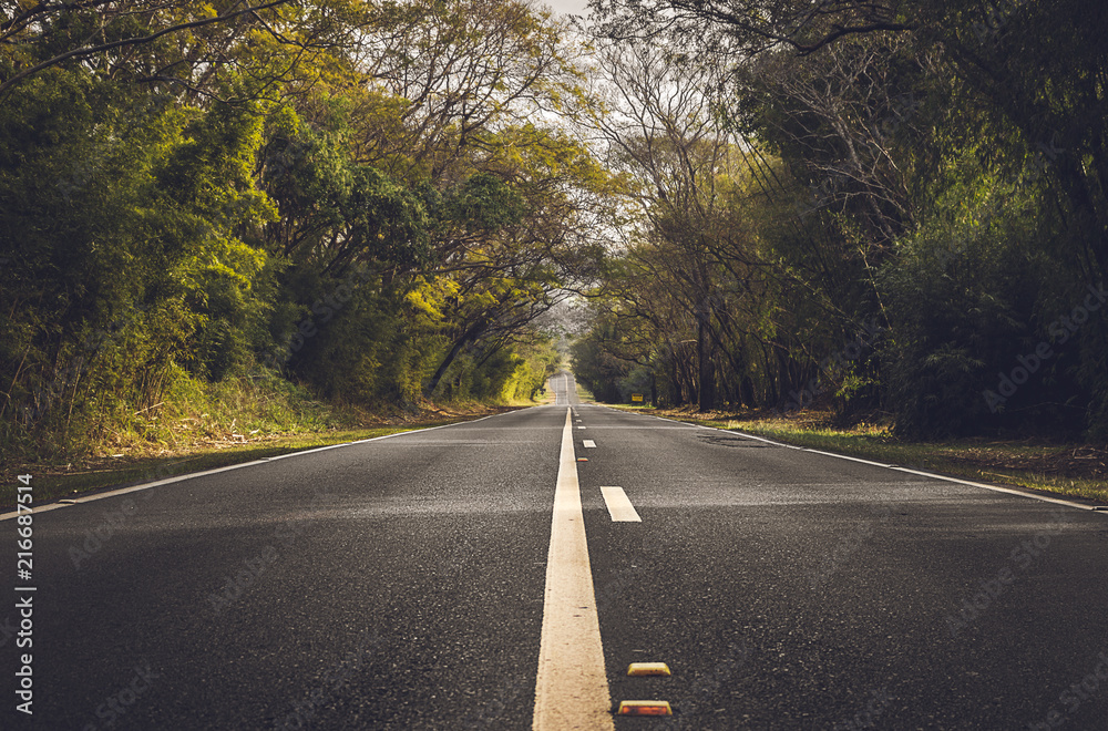 Fototapeta premium Traveling 