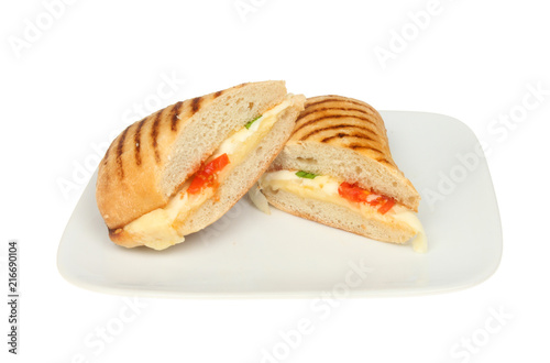 Cheese and tomato panini