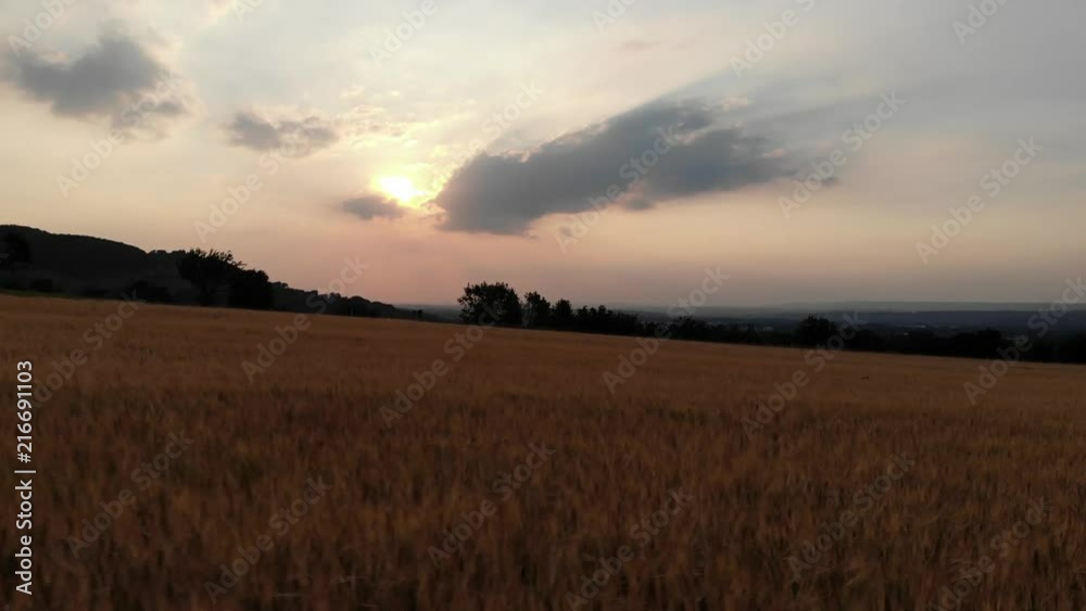Flug im Sonnenuntergang über erntereife Felder Flug im Sonnenuntergang über erntereife Felder