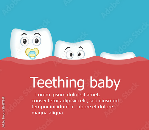 Teething baby banner with teeth