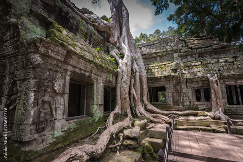 The temple of Ta Prohm, Angkor Wat area, Cambodia