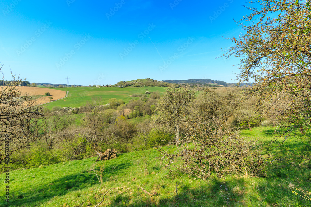 Orchard on slopes spring landscape in the German Eifel region near to Gerolstein with green meadows against a blue sky with clouds veil Orchard on slopes spring landscape in the German Eifel region near to Gerolstein with green meadows against a blue sky with clouds veil