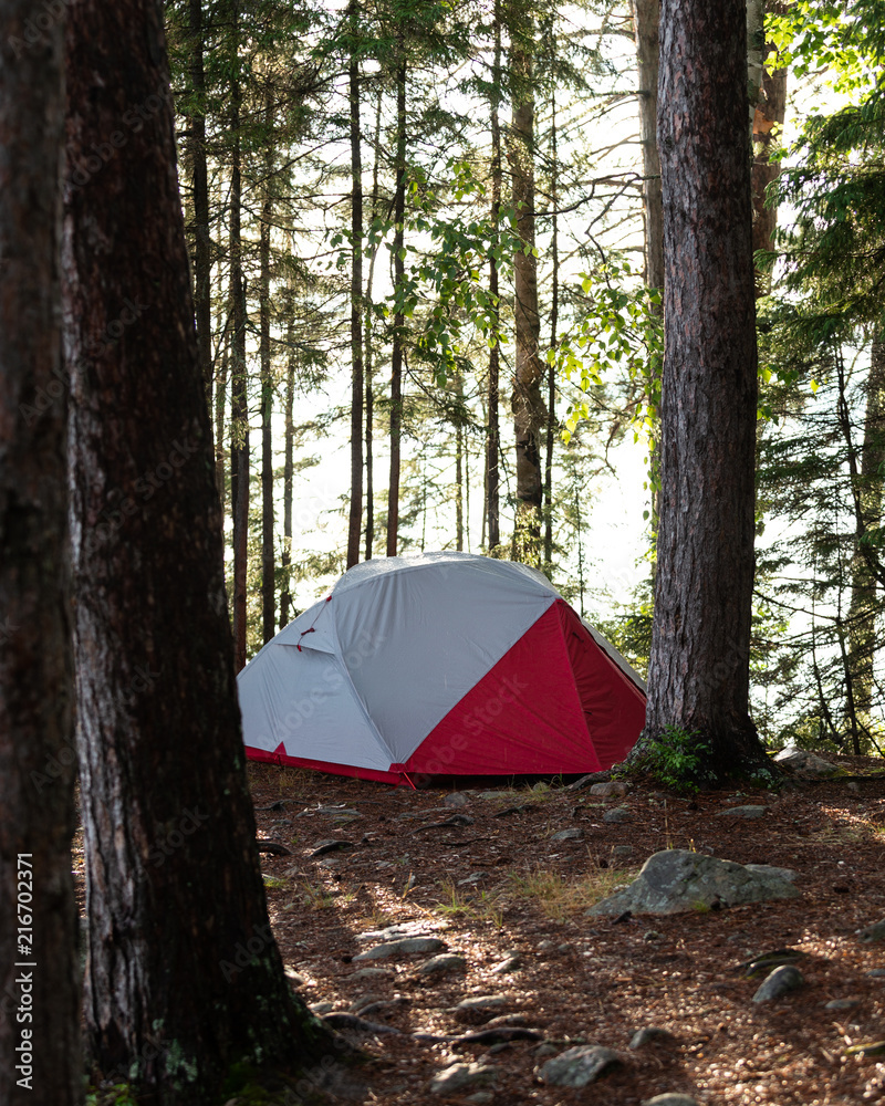 Red and White Tent in a Forest Camping Trees 