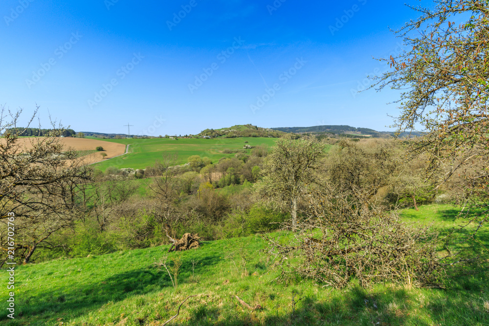 Orchard on slopes spring landscape in the German Eifel region near to Gerolstein with green meadows against a blue sky with clouds veil