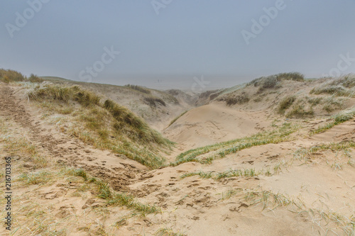 Dune landscape in the winter at Dutch coast with by autumn storms deep carved out  wind holes against a background with dense fog