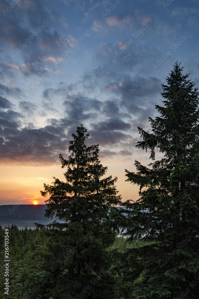 Rising sun behind the trees and over hill. Sunrise in the mountains. Rising sun behind the trees and over hill. Sunrise in the mountains.
