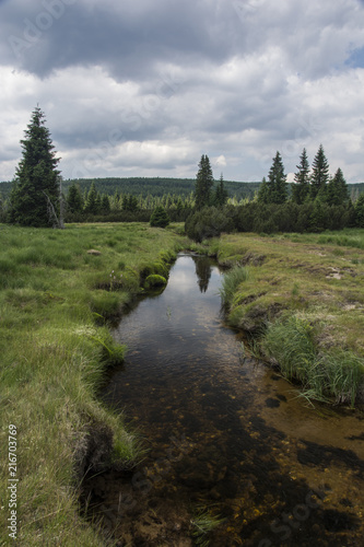  Save Download Preview A quiet brook flowing through the mountain landscape. Overcast sky.
