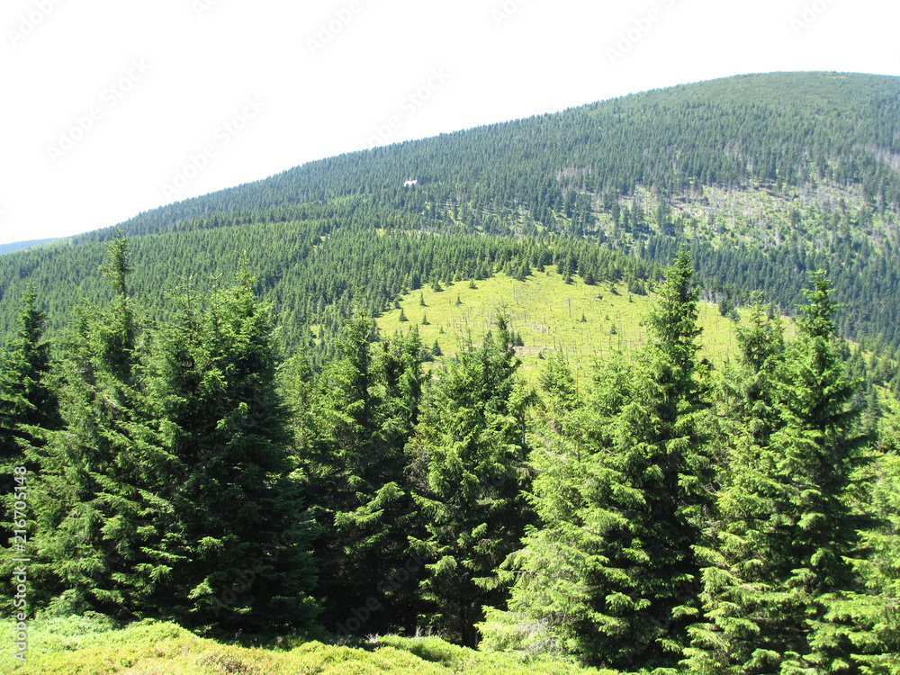 Obraz premium mountains