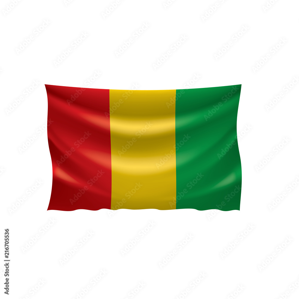 Fototapeta premium guinea flag, vector illustration