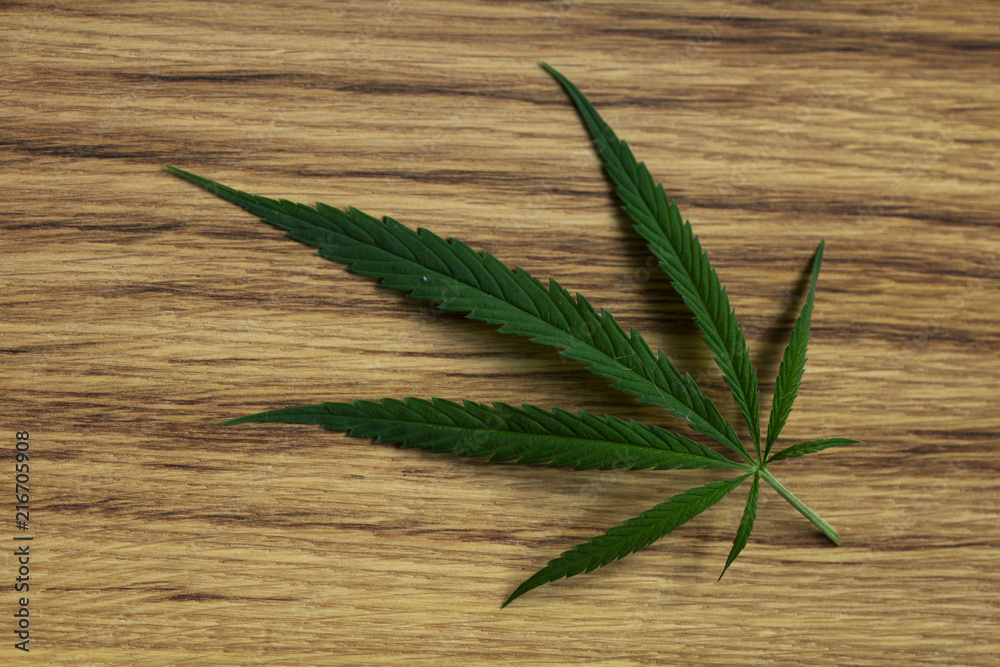 cannabis leaf on old wooden table cannabis leaf on old wooden table