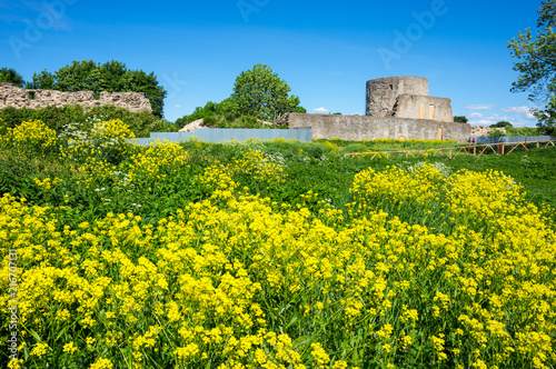 Ruins of Koporye fortress