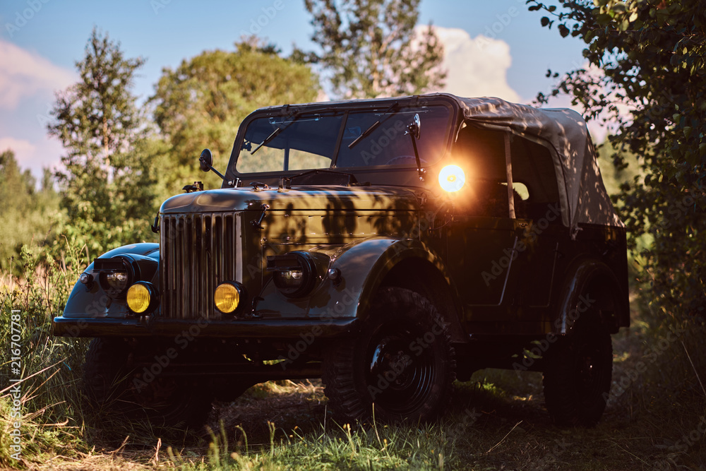 Retro military car in the steppe forest on the sunny day. Retro military car in the steppe forest on the sunny day.