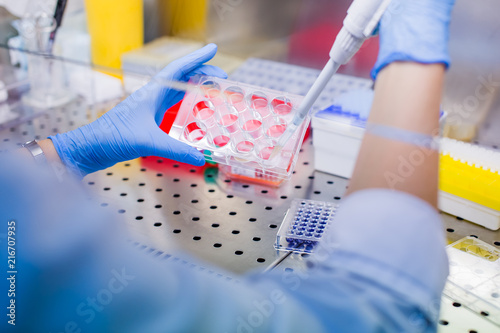 Laboratory work with tissue cultures