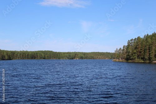Лес и озеро