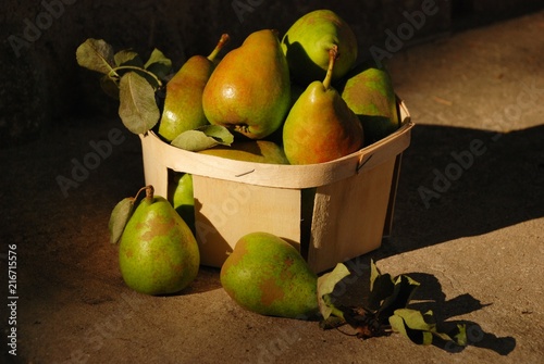 Poires du jardin