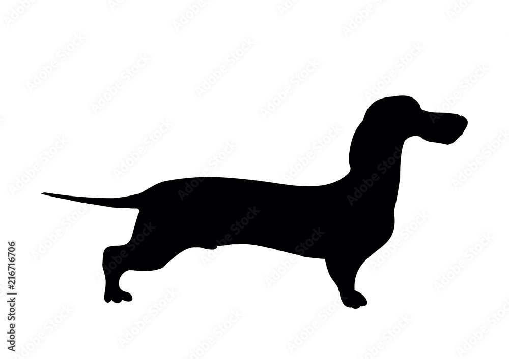 Dachshund silhouette. Black silhouette of a shortlegged Badger Dog
