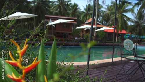 Wallpaper Mural View from behind of the Flowers garden to the Table by the pool at villa Torontodigital.ca