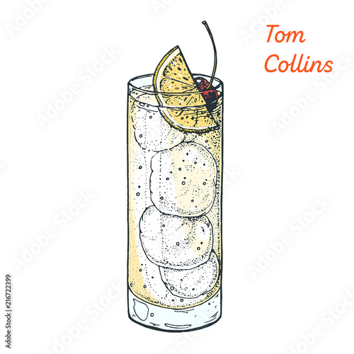 Tom Collins cocktail illustration. Alcoholic cocktails hand drawn vector illustration.
